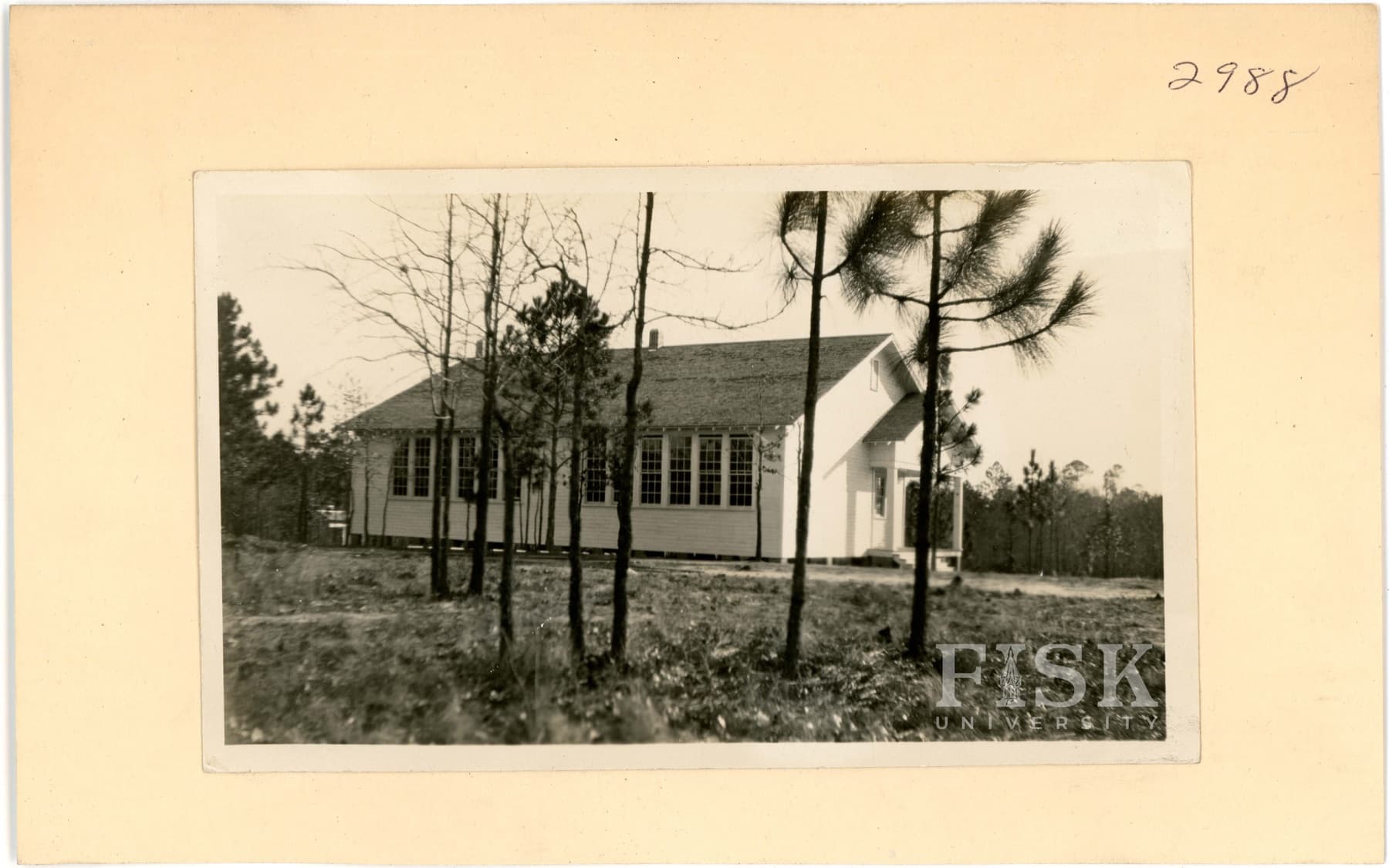 The Ailey School seen through young pines, photographed in 1928